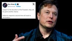 US-Beamte müssen sich vor Elon Musks Doge-Behörde verantworten. (Bild: AP/Susan Walsh, twitter.com/elonmusk/Krone KREATIV)