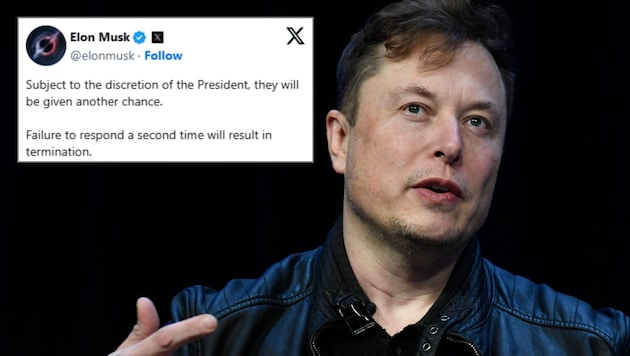 Elon Musk is sticking to his guns despite the headwind: anyone who does not respond to his "What did you do last week" email is threatened with dismissal. (Bild: Susan Walsh, twitter.com/elonmusk/Krone KREATIV)