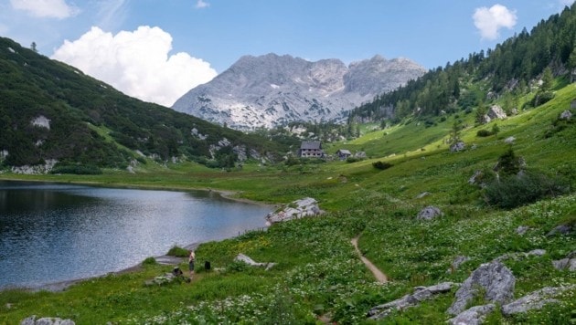 Weg voller Kontraste: Gestein, Wasser und Vegetation. (Bild: Markus Zucker)