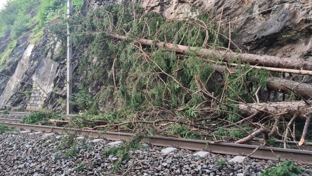 Durch die Unwetter wurden viele Bäume entwurzelt. (Bild: ÖBB/Hartweger)