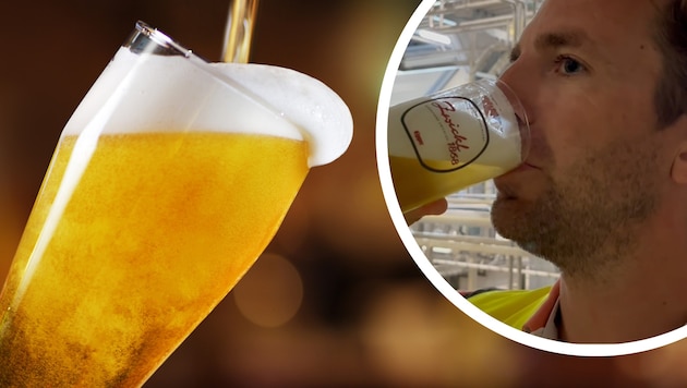 In the Egger brewery, the "Krone" did the beer test. (Bild: stock.adobe.com/Krone kreativ)