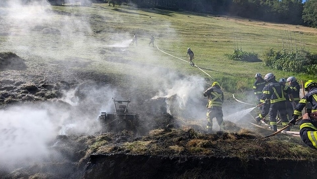 Wiesenbrand in Bürserberg. (Bild: Feuerwehr Bartholomäberg)