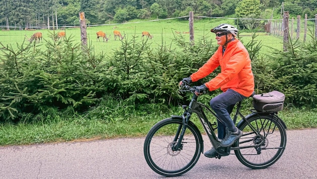 Josef Pucher, known as Jaga Sepp, used to spend a lot of his free time with the wild animals in the mountains. today, the hunter only watches the majestic deer in the game reserve as he cycles along the Maltatal cycle path. (Bild: Wallner Hannes)