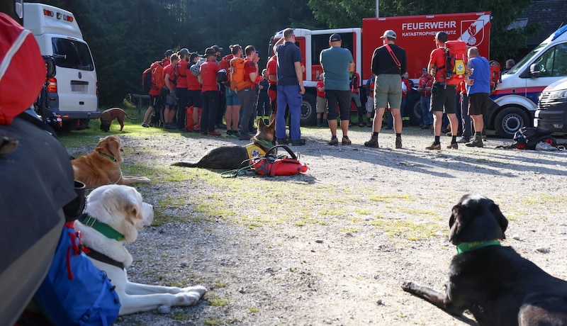 Zahlreiche Helfer waren im Einsatz – bisher vergeblich. (Bild: Lauber/laumat.at Matthias)