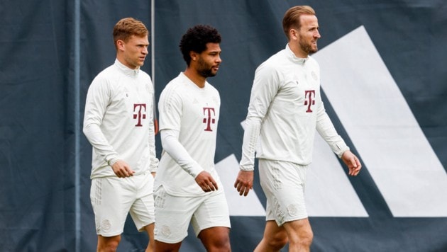 Der Bayern-Kader soll noch bis zum Ende der Transferperiode einen radikalen Umbruch erleben.  (Bild: AFP/APA/ALEXANDRA BEIER)