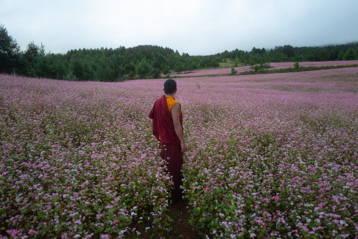Tashi (Tandin Wangchuk)