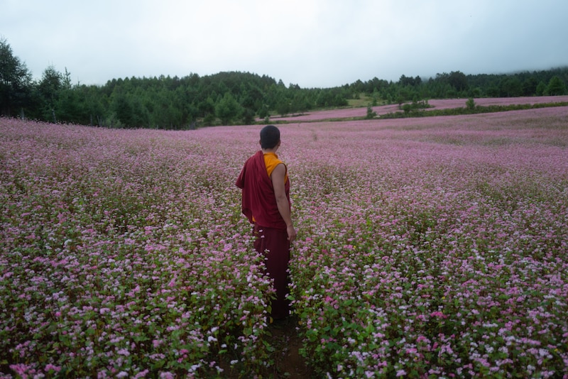 Tashi (Tandin Wangchuk) (Bild: 2023 Dangphu Dingphu: A 3 Pigs Production & Journey to the East Films Ltd.)