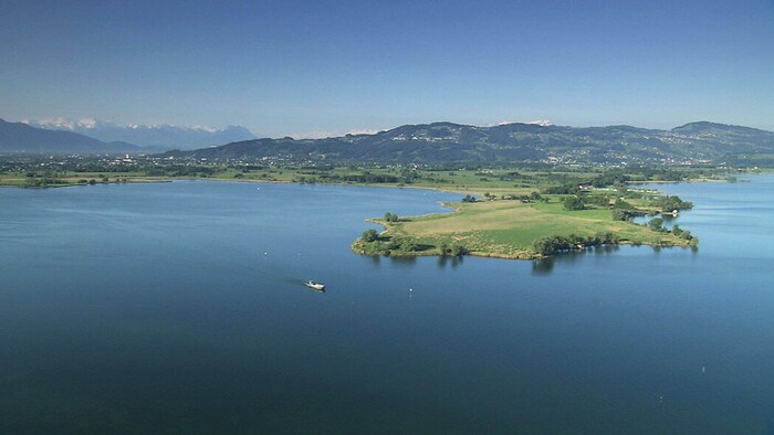 Der Bodensee – Lebensraum und Rastplatz für viele Vogelarten.