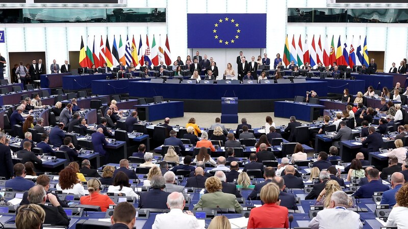 Members of the EU Parliament at their meeting on Wednesday (Bild: AFP/Frederick Florin)