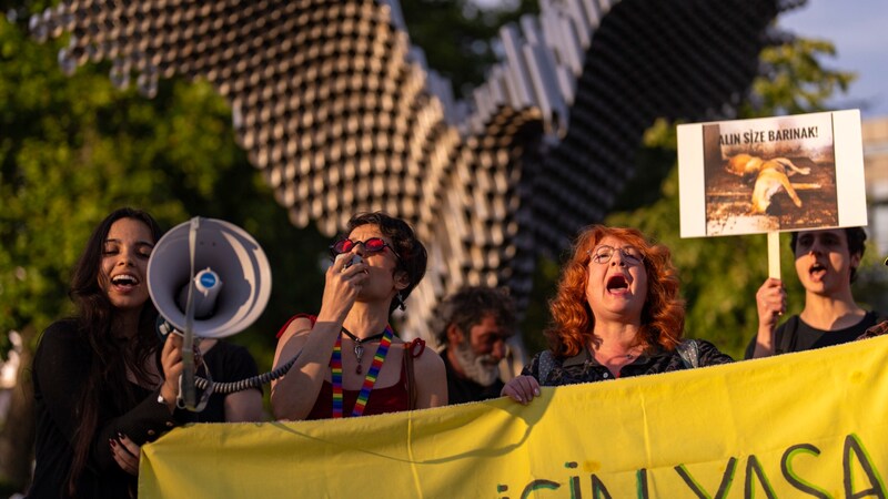 Demonstrating animal rights activists in Istanbul (Bild: AP/Francisco Seco)