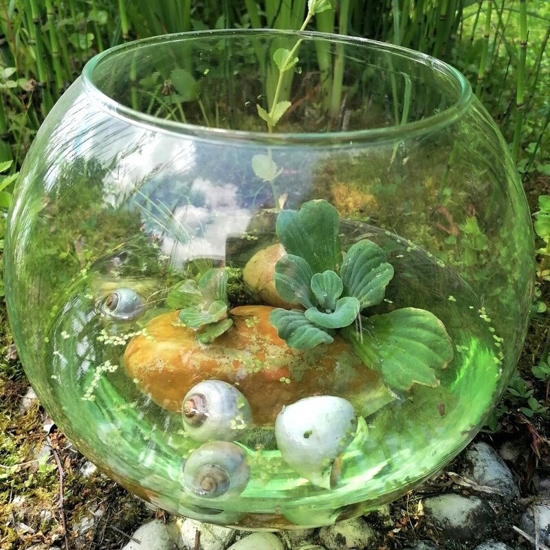 Ideal for children's rooms - the indoor pond. (Bild: zVg)