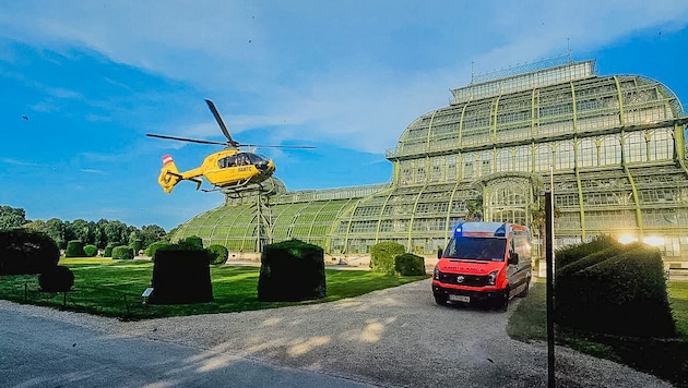 Ein zweijähriger Bub ist von einem Klettergerüst im Wiener Tiergarten Schönbrunn gestürzt. Er zog sich dabei schwere Kopfverletzungen zu. (Bild: APA/Berufsrettung Wien)