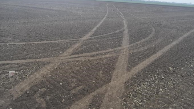 The thieves stalked the company premises unnoticed via farmland. (Bild: LKA NÖ)