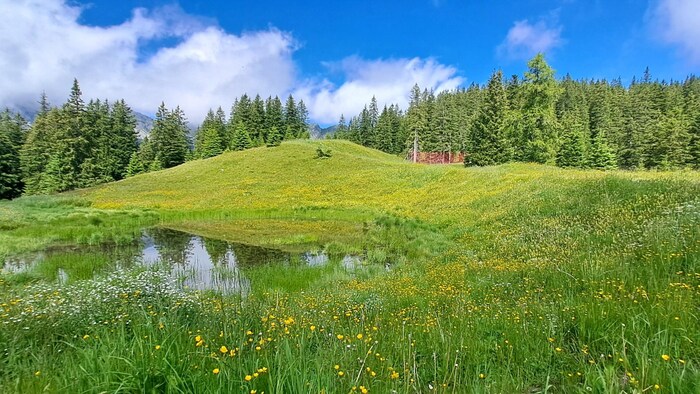 Richtung Burtschasattel.