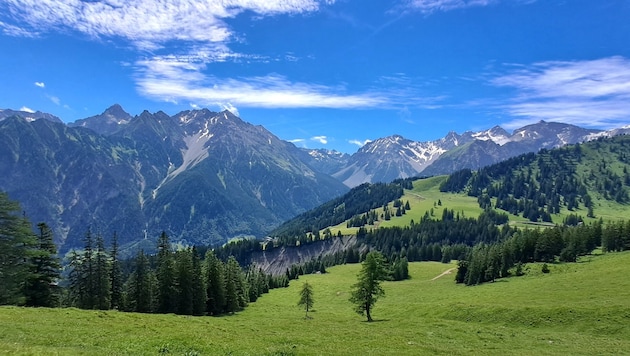 Wonderful views open up on the way to the Innere Parpfienzalpe. (Bild: Bergauer Rubina)