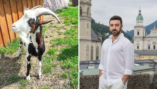 A billy goat is part of "Don Giovanni", as is baritone Davide Luciano. (Bild: Salzburger Festspiele, Thomas Manhart)