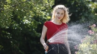 So pflegen Sie Ihren Garten auch bei hohen Temperaturen und sparen noch dazu Wasser. (Bild: Jöchl Martin)