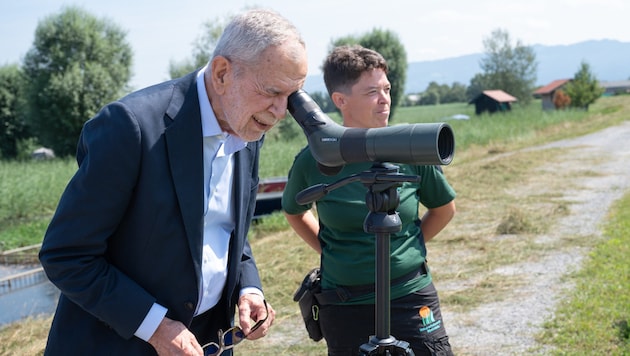 Bundespräsident Van der Bellen beim Blick auf die Flussseeschwalben-Kolonie im Rheindelta. (Bild: VLK SERRA)