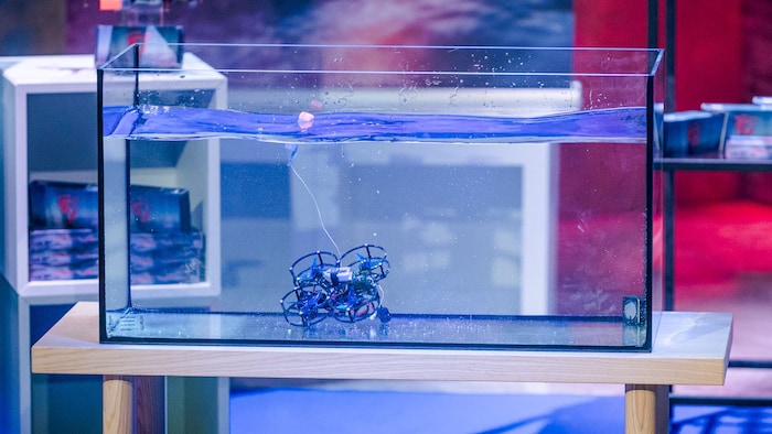Sobald die Drohne im Wasser ist, löst das Rettungssystem automatisch aus.