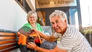 Maria Menghin (57) und ihr Ehemann kümmern sich um den verletzten Kater. (Bild: Scharinger Daniel)