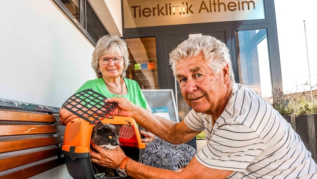 Maria Menghin (57) und ihr Ehemann kümmern sich um den verletzten Kater. (Bild: Scharinger Daniel)