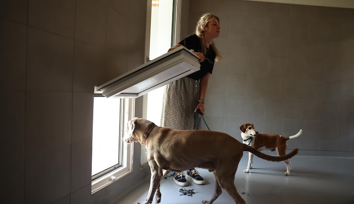 In den Zimmern des neuen Hundehauses wurde offenbar auf das Gefälle zum Gully vergessen.
