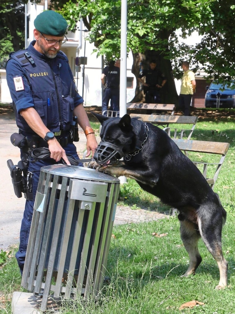 Dogs are indispensable for the work of the police. However, a series of incidents shows that even more attention should be paid to animal welfare. (Bild: Radspieler Jürgen)