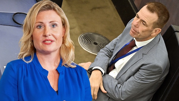 Women's Affairs Minister Susanne Raab (ÖVP) finds the statements made by blue EU mandate holder Harald Vilimsky "absolutely unacceptable". (Bild: Krone KREATIV/APA/GEORG HOCHMUTH, APA/HANS KLAUS TECHT)