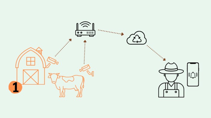 The data from the cowshed is uploaded to the cloud via 5G, where it can be accessed at any time via an app.