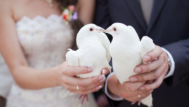 The most beautiful day in the life of the bride and groom is at the expense of the animals. (Bild: stock.adobe.com/popovich22 - stock.adobe.com)