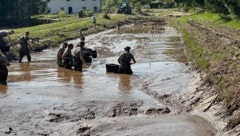 Bundesheer-Soldaten helfen beim Einsammeln von Fischkadavern. (Bild: APA/BUNDESHEER/MERL)