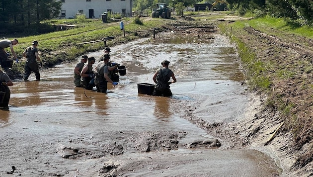 Bundesheer-Soldaten helfen beim Einsammeln von Fischkadavern. (Bild: APA/BUNDESHEER/MERL)