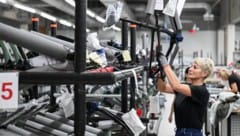 Zuletzt hatten noch 15 Mitarbeiter bei WSF gearbeitet.