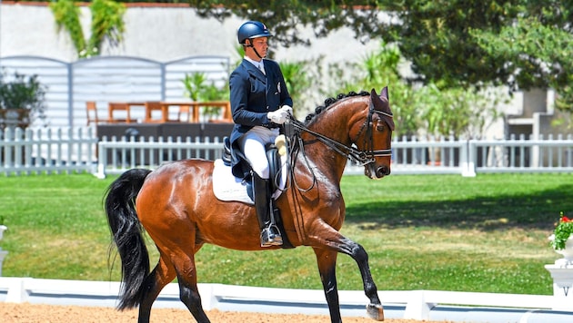 Florian Bacher und Fidertraum starten zum zweiten Mal bei Olympia. (Bild: GEPA/GEPA pictures)