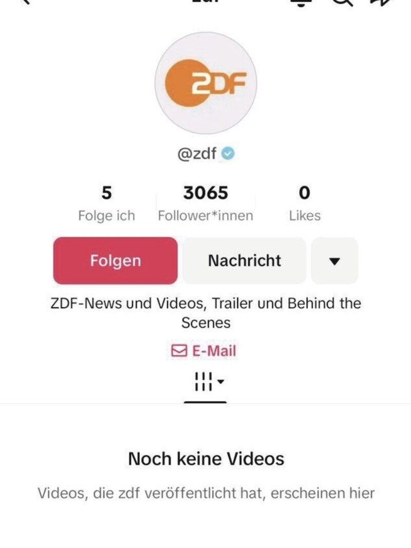 „ZDF“ ist bisher noch ratlos und hat sich erst einmal nur den Account gesichert. (Bild: zVg/Screenshot)