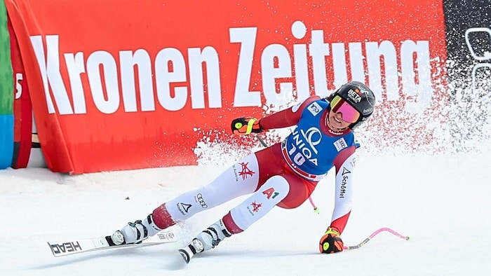 Stephanie Venier
