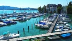 In der Marina von Schörfling am Attersee entdeckte die Familie den im Wasser treibenden toten Regauer (73). (Bild: Wolfgang Spitzbart)