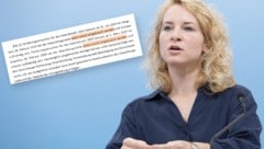 Die stellvertretende SPÖ-Klubchefin Eva-Maria Holzleitner  (Bild: Krone KREATIV/APA/ALEX HALADA)