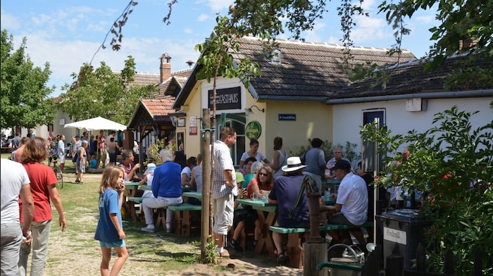 The village square will be a hive of activity.