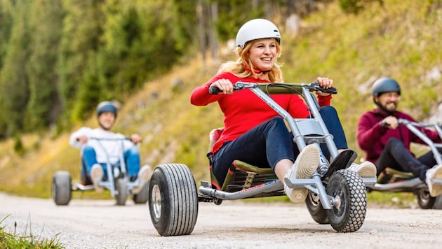 Mountaincarts versprechen sicheren Downhill-Spaß, doch es kann immer etwas passieren (Symbolbild). (Bild: © Niederösterreich-CARD/ schwarz-koenig.at)