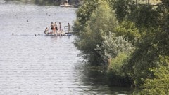 Badegäste in der Neuen Donau (Symbolbild) (Bild: APA/TOBIAS STEINMAURER)