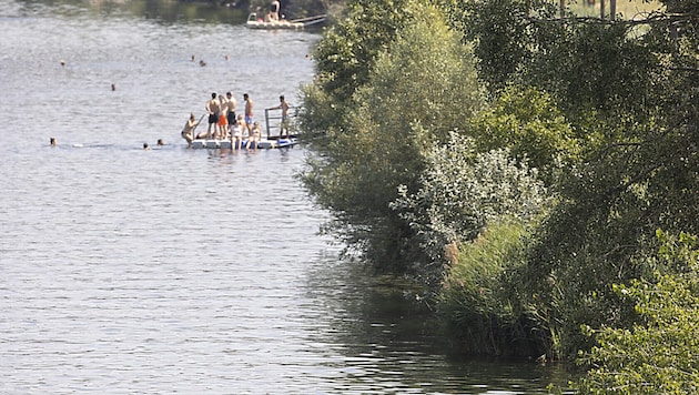 Bathers in the New Danube (symbolic image) (Bild: APA/TOBIAS STEINMAURER)