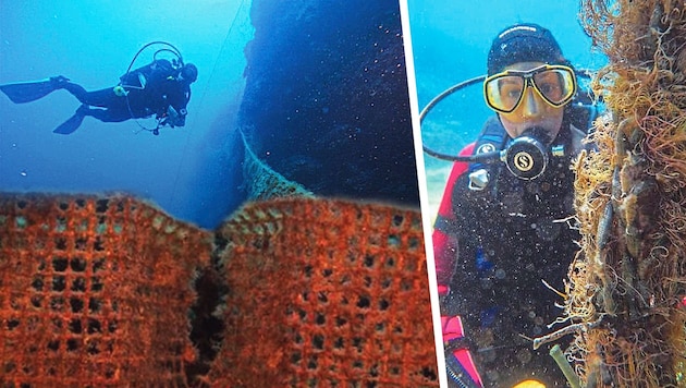 More than eleven million tons of plastic end up in sensitive ecosystems every year. An Austrian woman is fighting against this. (Bild: Krone KREATIV/Matko Pojatina, Danijel Kanski)