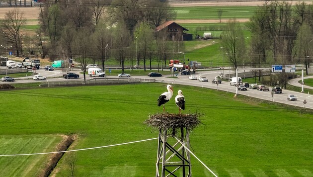 The traffic accident occurred near Dornbirn Nord. (Bild: Stiplovsek Dietmar)