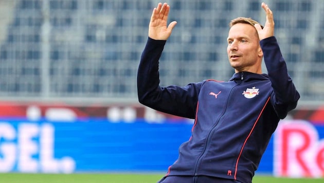 Salzburg-Trainer Pepijn Lijnders (Bild: GEPA/GEPA pictures)