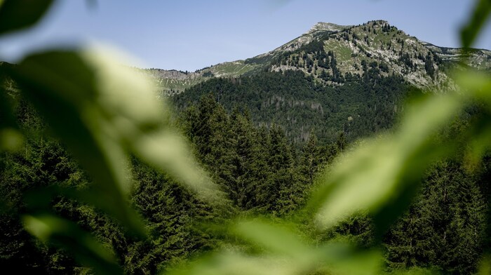 View into the mountain sky.
