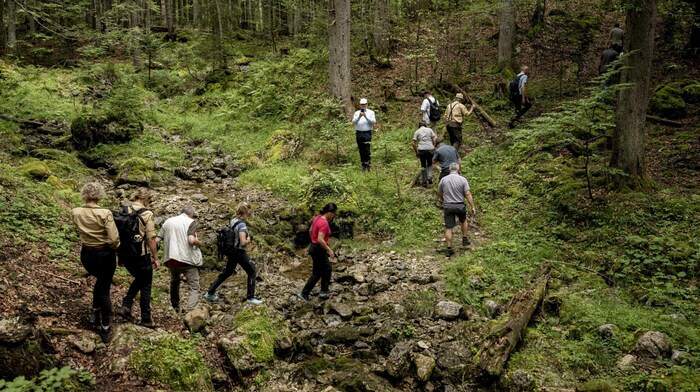 Expedition into the eco-kingdom