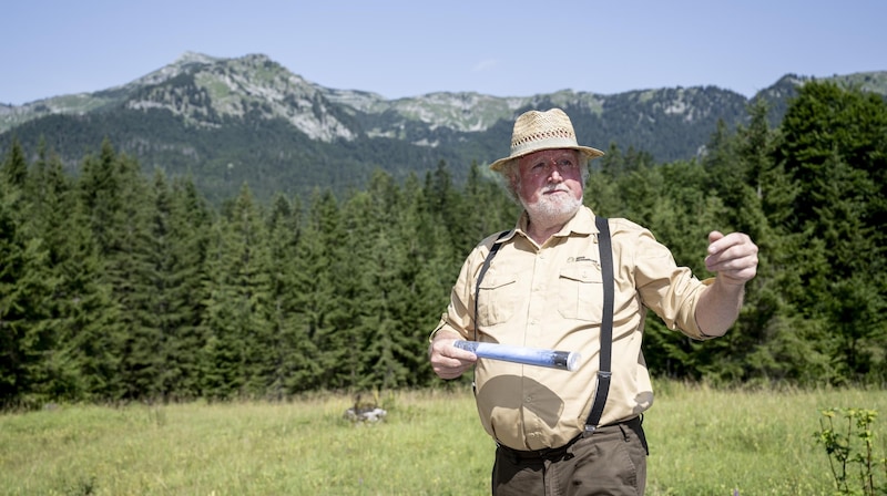 Primeval forest legend Pekny (Bild: Imre Antal)