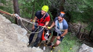 Die Bergretter brachten den Schweizer Sennenhund „Kosmo“ wieder sicher zurück zu seiner Gruppe. (Bild: ZOOM Tirol)