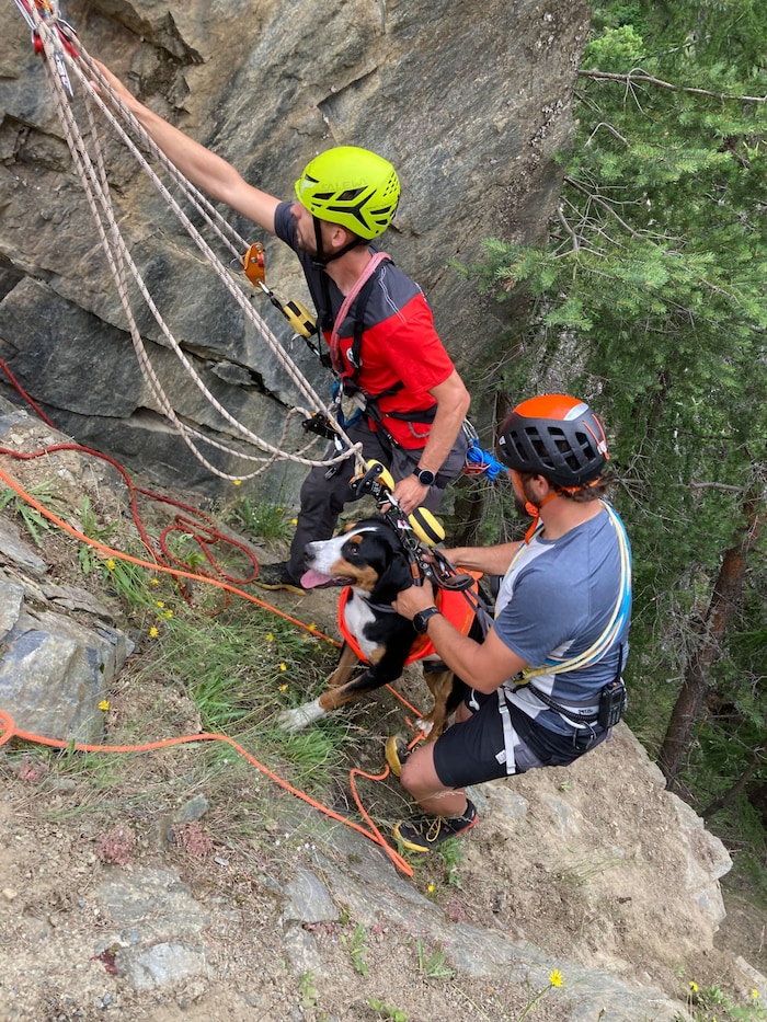 Without the help of the mountain rescuers, there would have been no way back for "Kosmo".